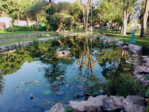 Lago decorado y filtrado construido en Ayala Morelos